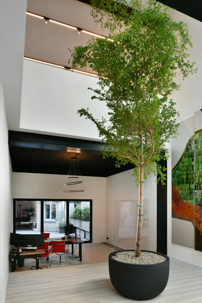 Arbre intérieur dans un bureau moderne avec mobilier rouge, baies vitrées, grand tableau blanc et œuvre d'art murale